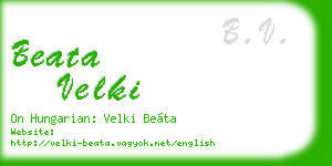 beata velki business card